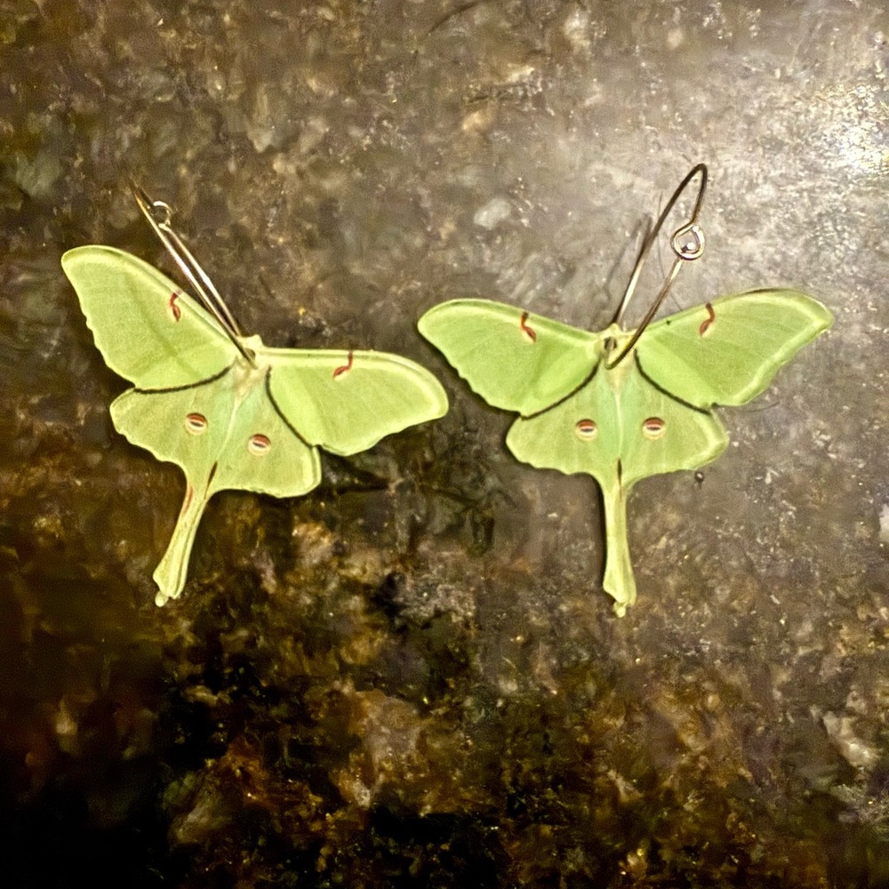 Spencer's Green Moth Earrings
